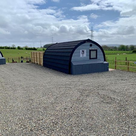 Thistle Pod Farm Stay With Hottub Sleeps 2 Galston  Exterior photo